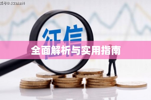 新洲全面解析与实用指南