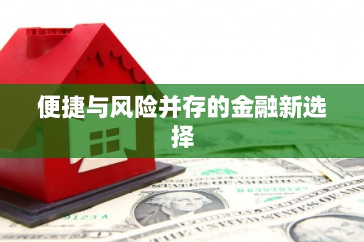新洲便捷与风险并存的金融新选择