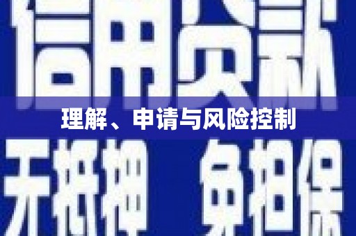 新洲理解、申请与风险控制