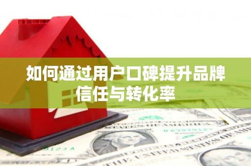 新洲如何通过用户口碑提升品牌信任与转化率