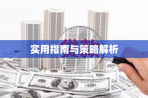 新洲实用指南与策略解析