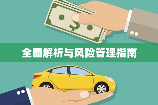 新洲全面解析与风险管理指南