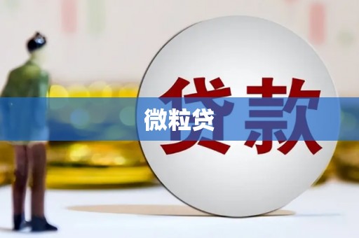 新洲微粒贷