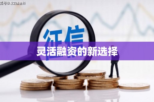新洲灵活融资的新选择
