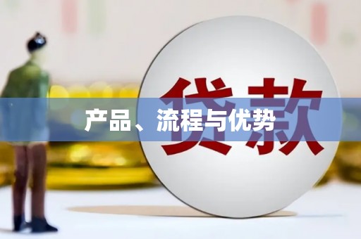 新洲产品、流程与优势