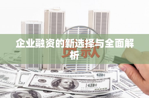 新洲企业融资的新选择与全面解析