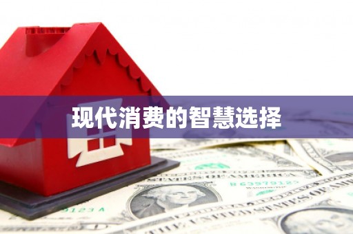 新洲现代消费的智慧选择