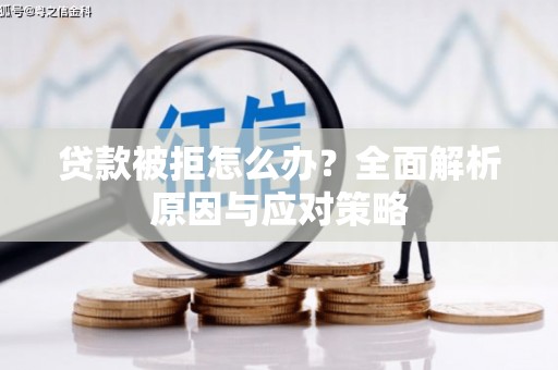 新洲贷款被拒怎么办？全面解析原因与应对策略