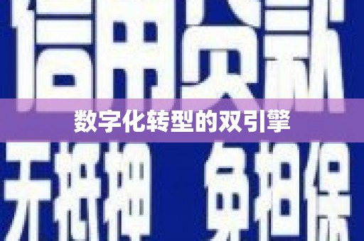 新洲数字化转型的双引擎