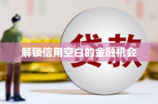 新洲解锁信用空白的金融机会