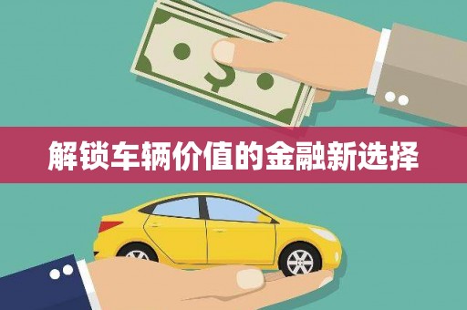新洲解锁车辆价值的金融新选择