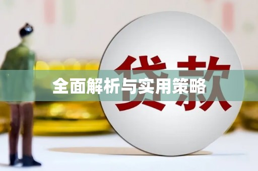 新洲全面解析与实用策略