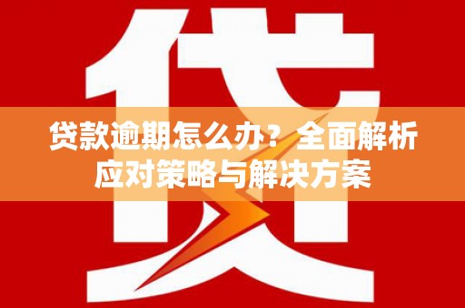 新洲贷款逾期怎么办？全面解析应对策略与解决方案