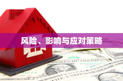 新洲风险、影响与应对策略