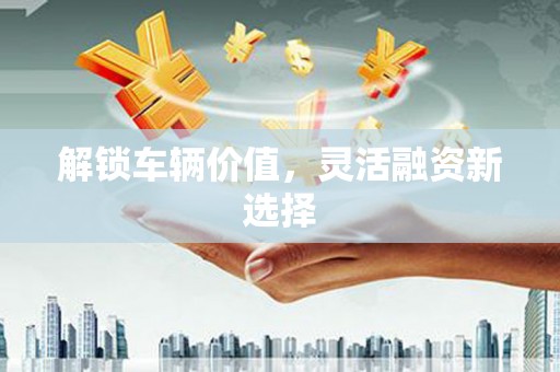 新洲解锁车辆价值，灵活融资新选择
