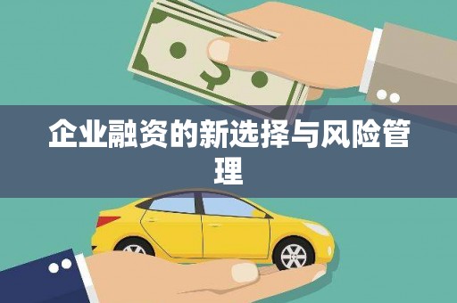 新洲企业融资的新选择与风险管理