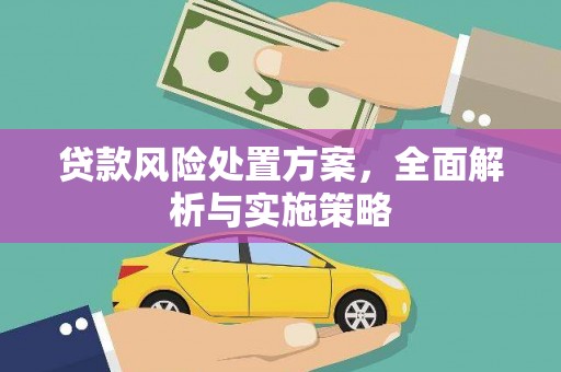 新洲贷款风险处置方案，全面解析与实施策略
