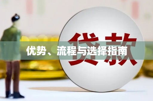 新洲优势、流程与选择指南