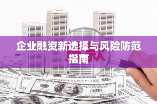 新洲企业融资新选择与风险防范指南