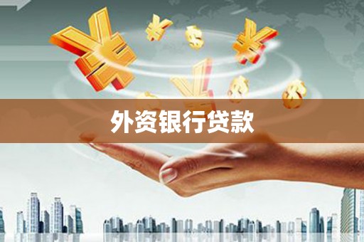 新洲外资银行贷款