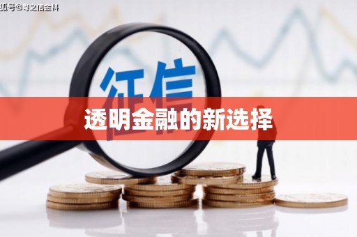 新洲透明金融的新选择