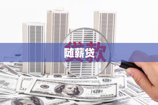 新洲随薪贷