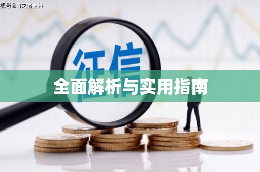 新洲全面解析与实用指南
