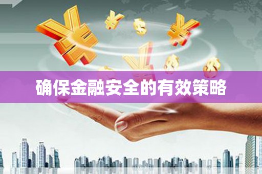 新洲确保金融安全的有效策略