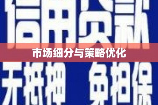 新洲市场细分与策略优化