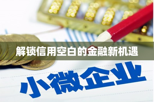 新洲解锁信用空白的金融新机遇