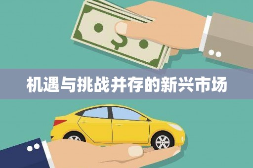 新洲机遇与挑战并存的新兴市场