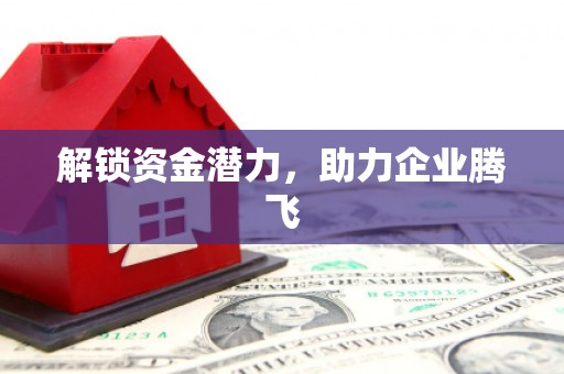 新洲解锁资金潜力，助力企业腾飞