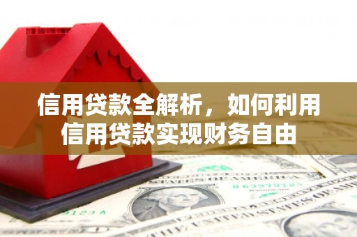 新洲信用贷款全解析，如何利用信用贷款实现财务自由