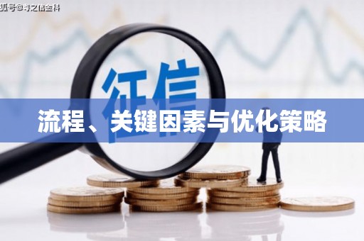 新洲流程、关键因素与优化策略