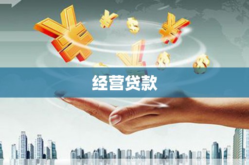 新洲经营贷款