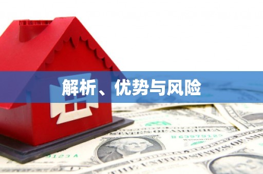 新洲解析、优势与风险