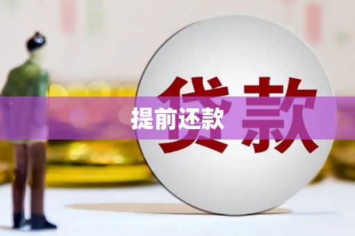 新洲提前还款