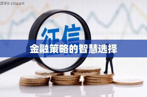 新洲金融策略的智慧选择