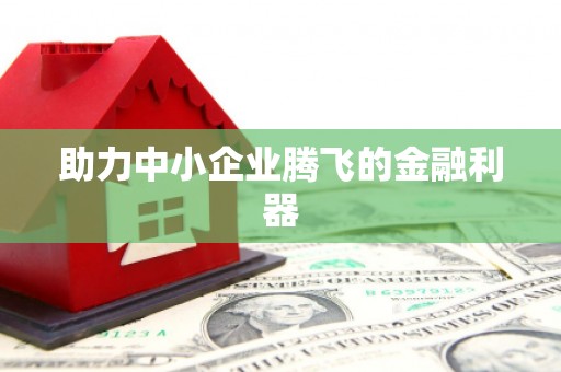 新洲助力中小企业腾飞的金融利器