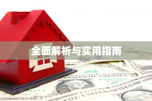 新洲全面解析与实用指南