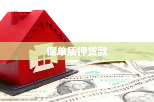 新洲保单质押贷款