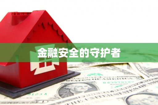 新洲金融安全的守护者