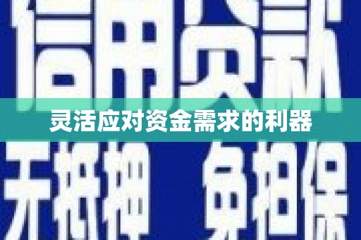 新洲灵活应对资金需求的利器