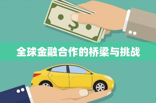 新洲全球金融合作的桥梁与挑战