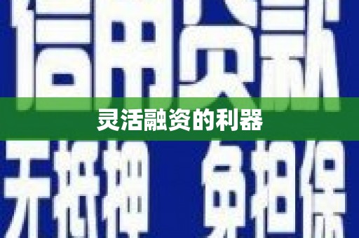 新洲灵活融资的利器