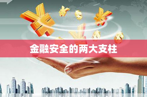 新洲金融安全的两大支柱