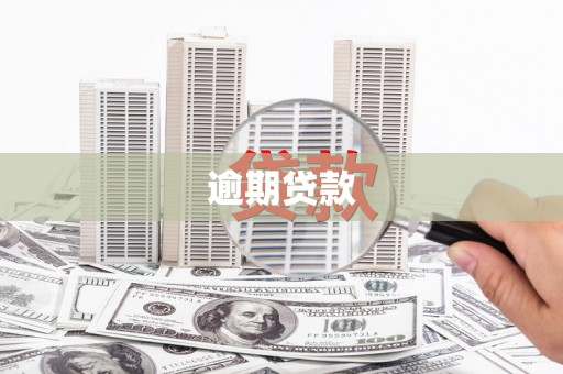 新洲逾期贷款