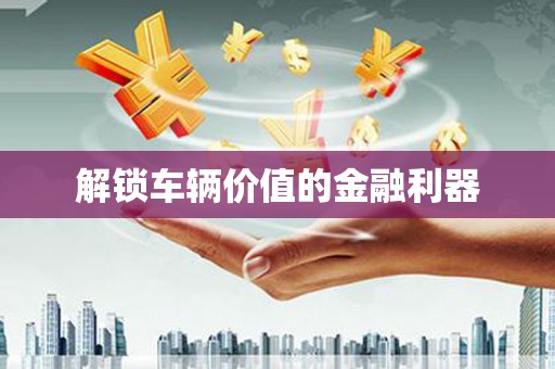 新洲解锁车辆价值的金融利器