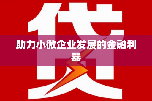 新洲助力小微企业发展的金融利器