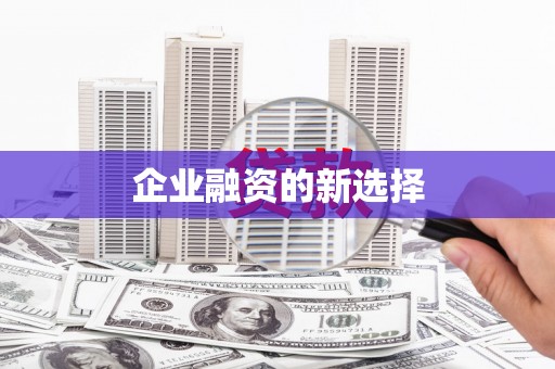 新洲企业融资的新选择